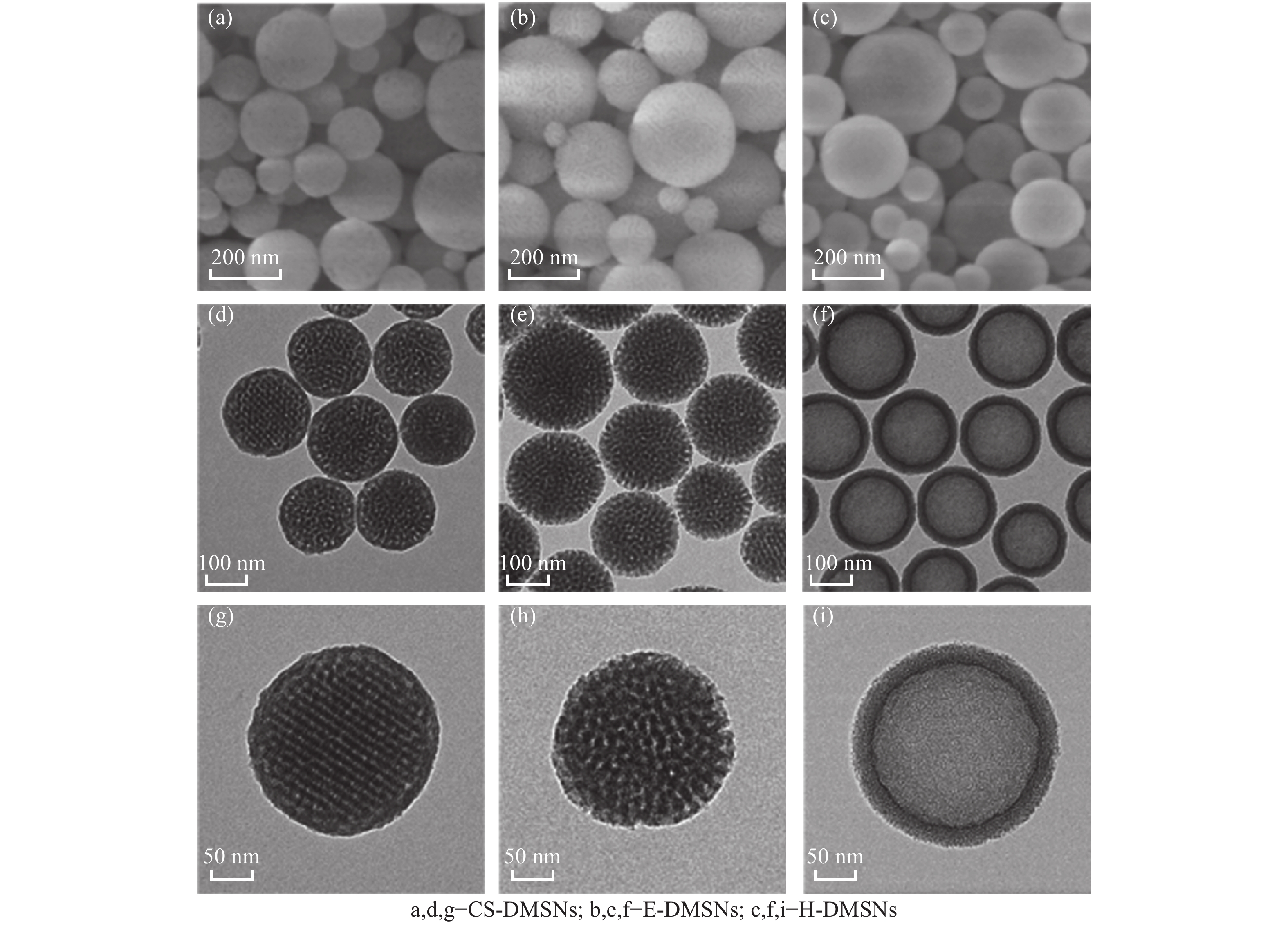 图 3种多级孔氧化硅纳米颗粒的电镜