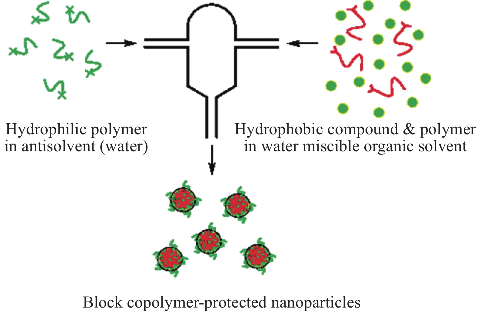 のん Amazon.co.jp: [go go bike] ライブディオDio用 ZX Live dio AF