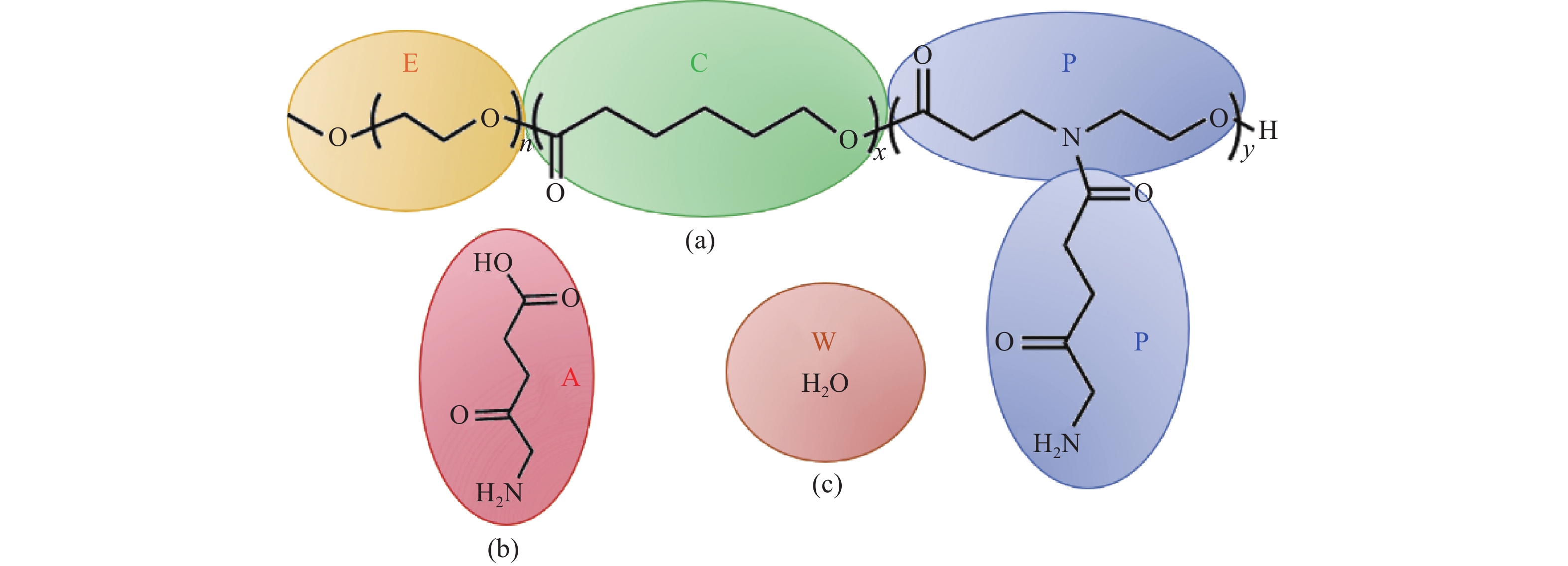 聚合物前药载药性能的计算机模拟